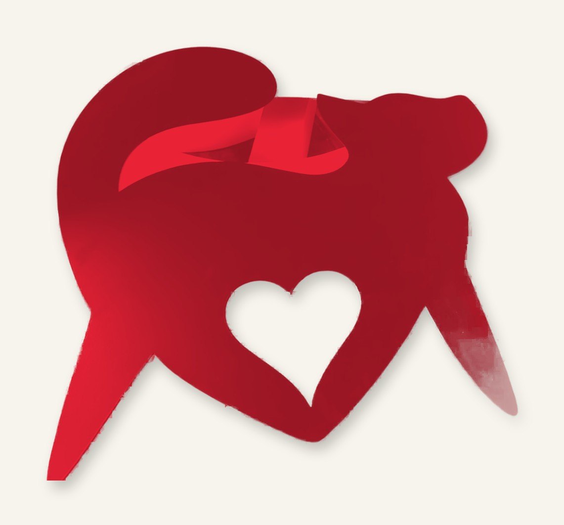 Cat Got Your Heart